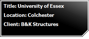 University of Essex: Colchester